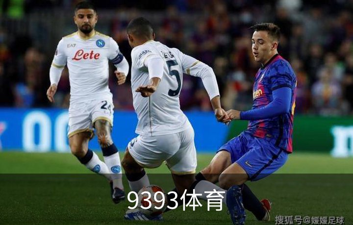 9393体育介绍